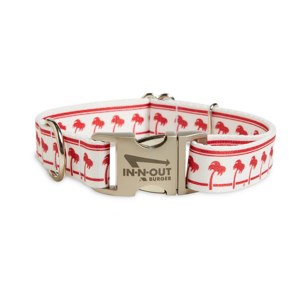 buckled dog collar